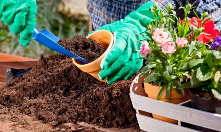 Right Plant Pot