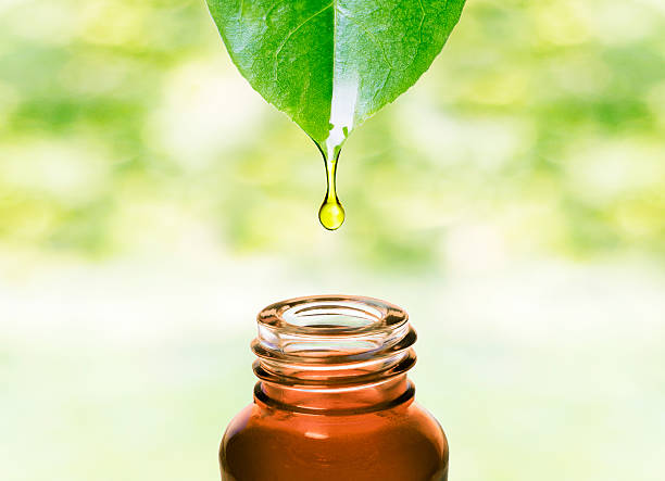 Organic Body Oil in Skincare