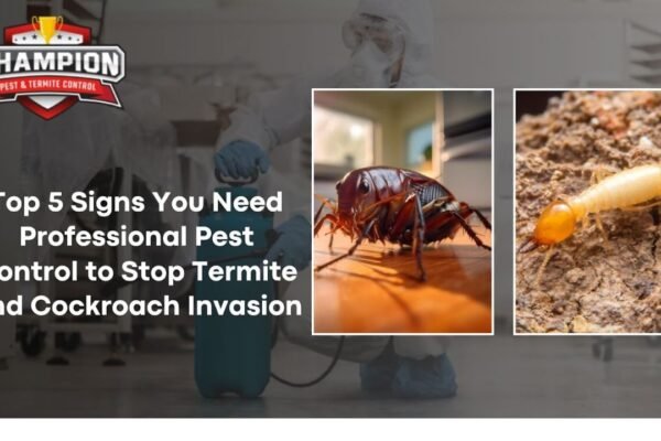 Professional Pest Control