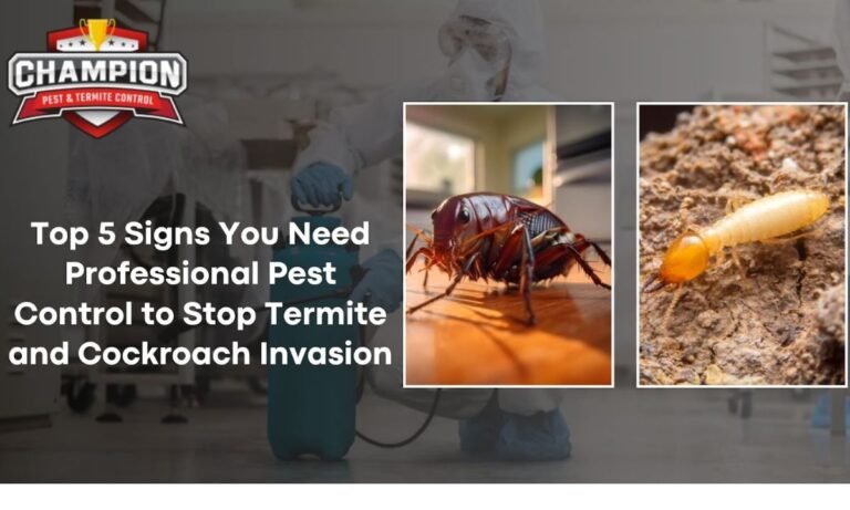 Professional Pest Control
